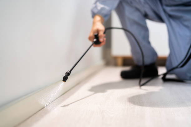 Licensed Pest Control service in West Virginia, WV - Show Me Pest Control
