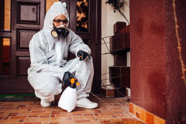 Reliable Pest Control contractor in West Virginia, WV by Show Me Pest Control